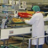 Good Manufacturing Practices (GMP) Seminar