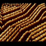 Surface Analysis Techniques Training Program